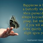 hawthorne-butterflies-quote
