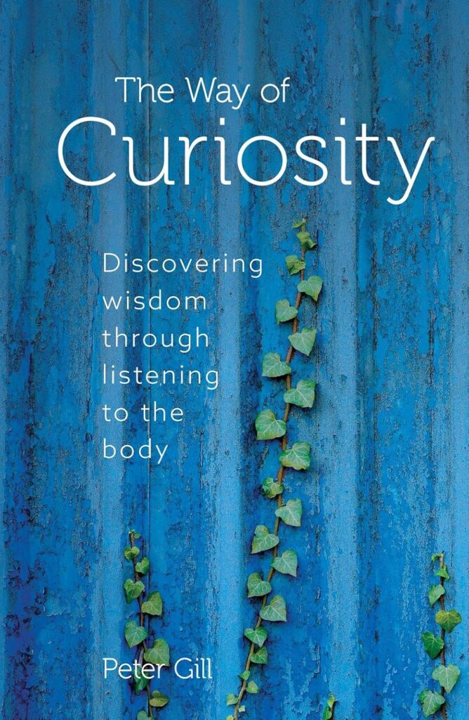 The Way of Curiosity by Peter Gill